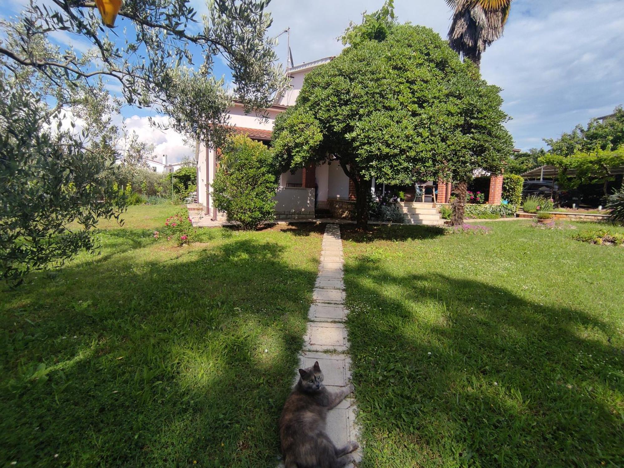 Jane Appartement Poreč