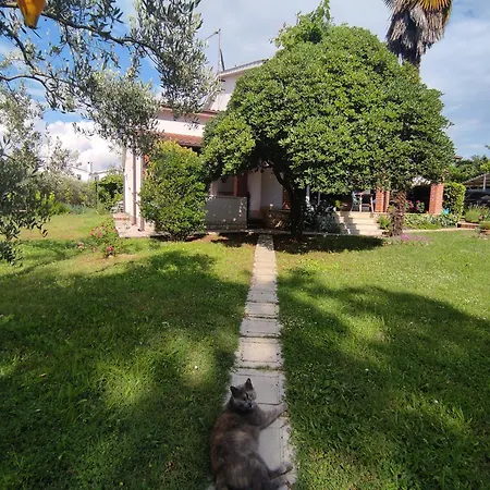 Ferienwohnung Jane Poreč Exterior foto